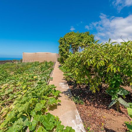 Casa Rural Finca Las Dulces Chío Eksteriør bilde