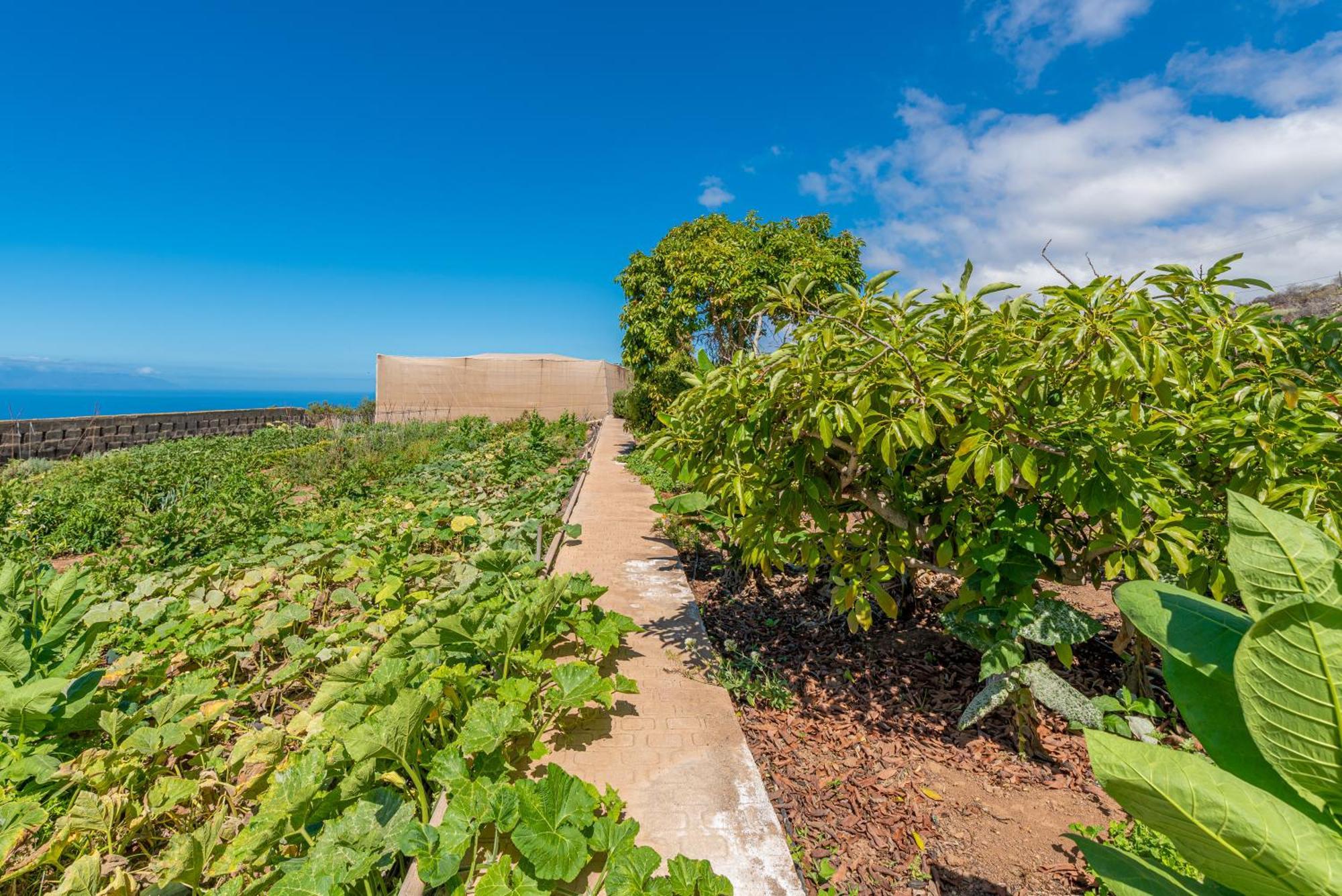 Casa Rural Finca Las Dulces Chío Eksteriør bilde